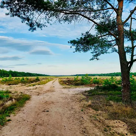 Clonowo 2 Борск