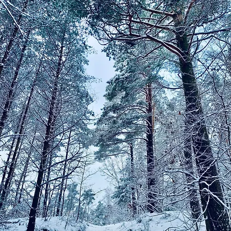 Clonowo 2 度假居 *