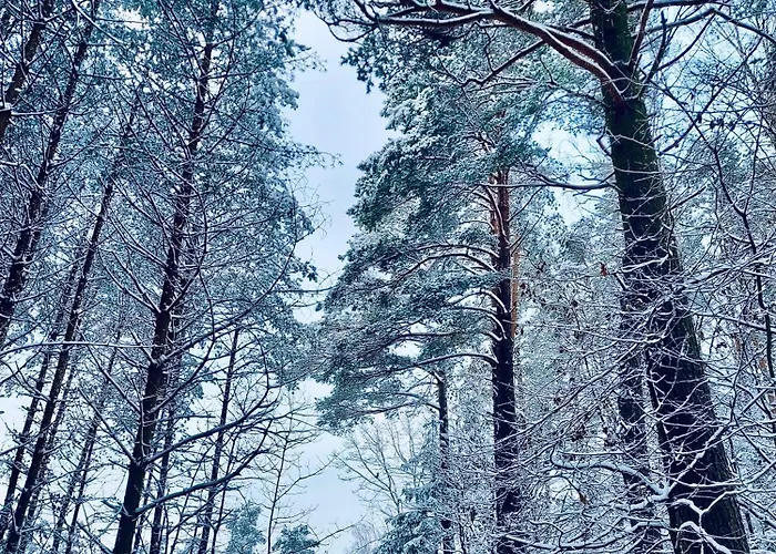 Clonowo 2 Сasa de vacaciones *